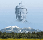 Buddha-web